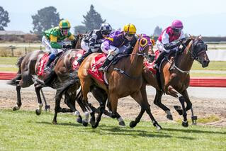 Boots ’N’ All (NZ) claims the Listed Craigmore Timaru Cup. Photo: Race Images South